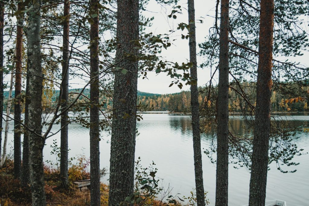 Finland-parken