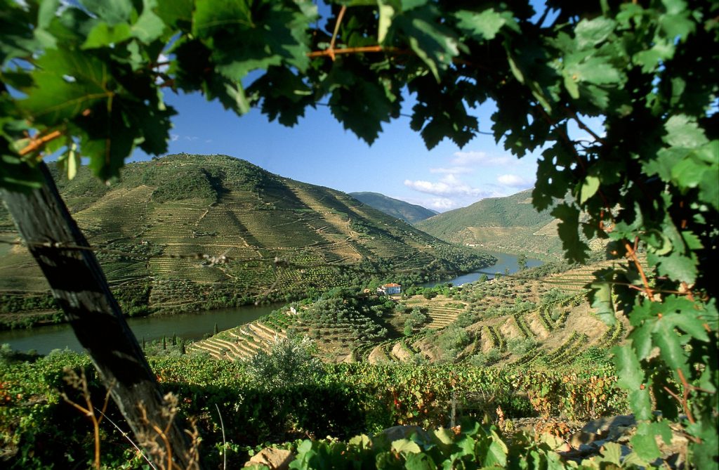 wijnregios-in-portugal