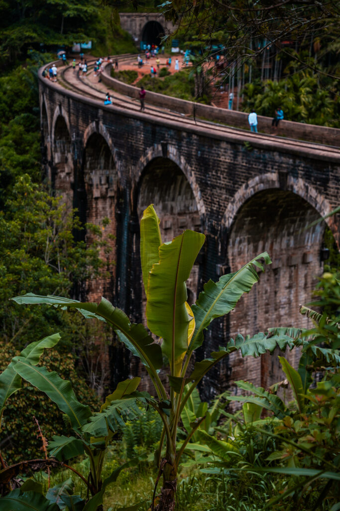 tips-ella-sri-lanka