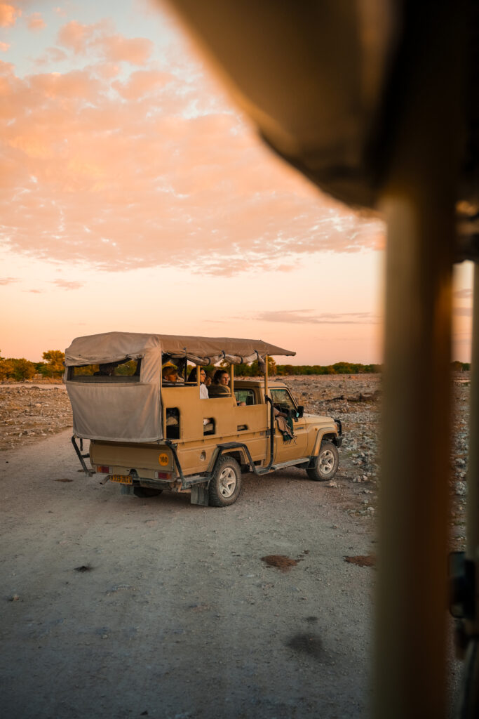 game-drive-etosha