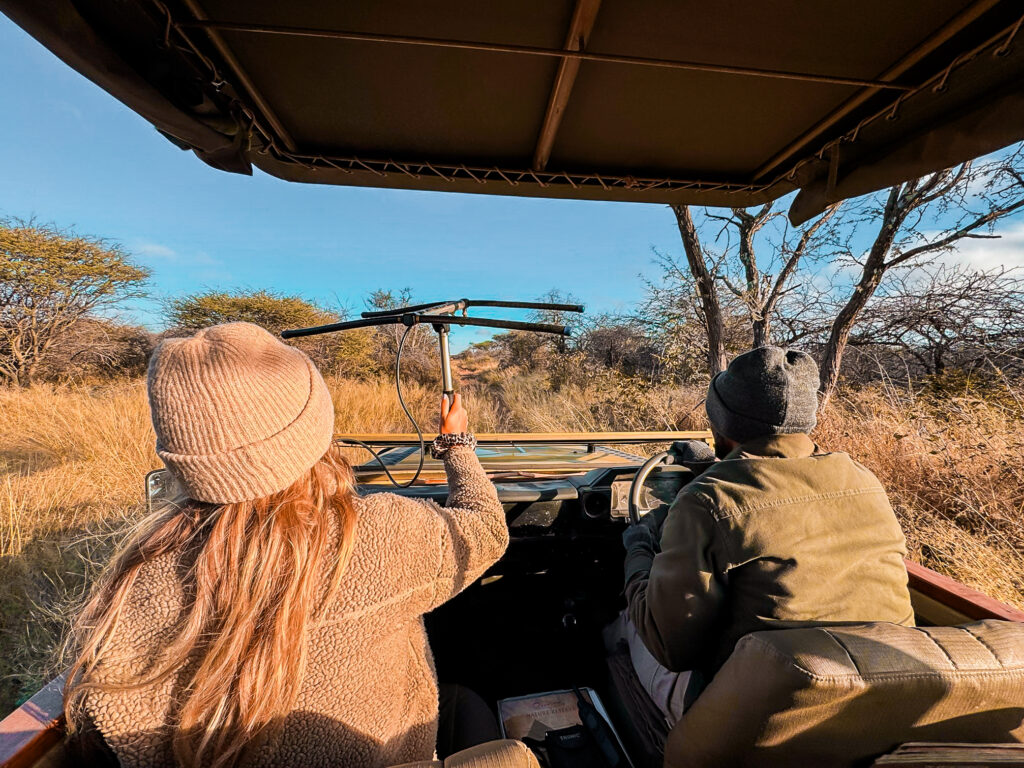 Okonjima-Nature-Reserve-namibie
