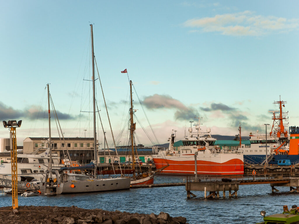 walvistour-reykjavik