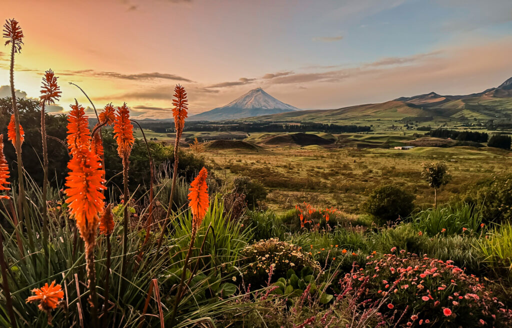 Cotopaxi Nationaal Park in Ecuador