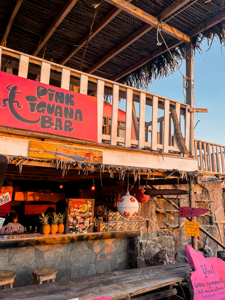 Pink Iguana Isla Isabela