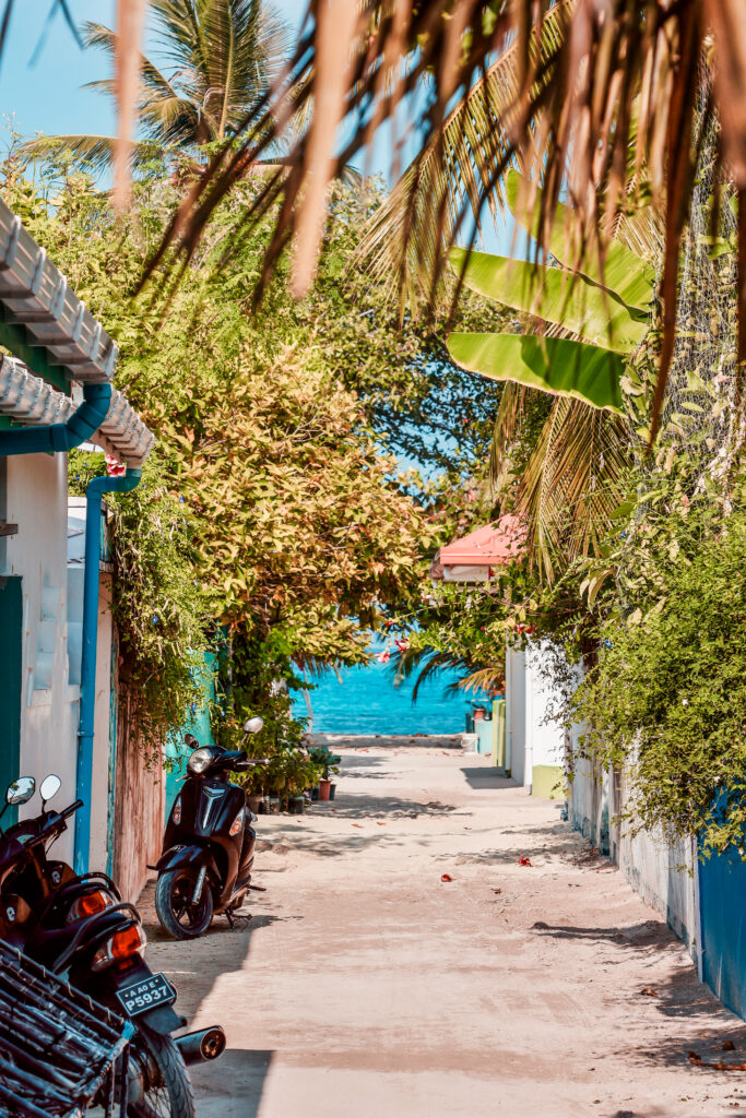 tips voor Dhangethi