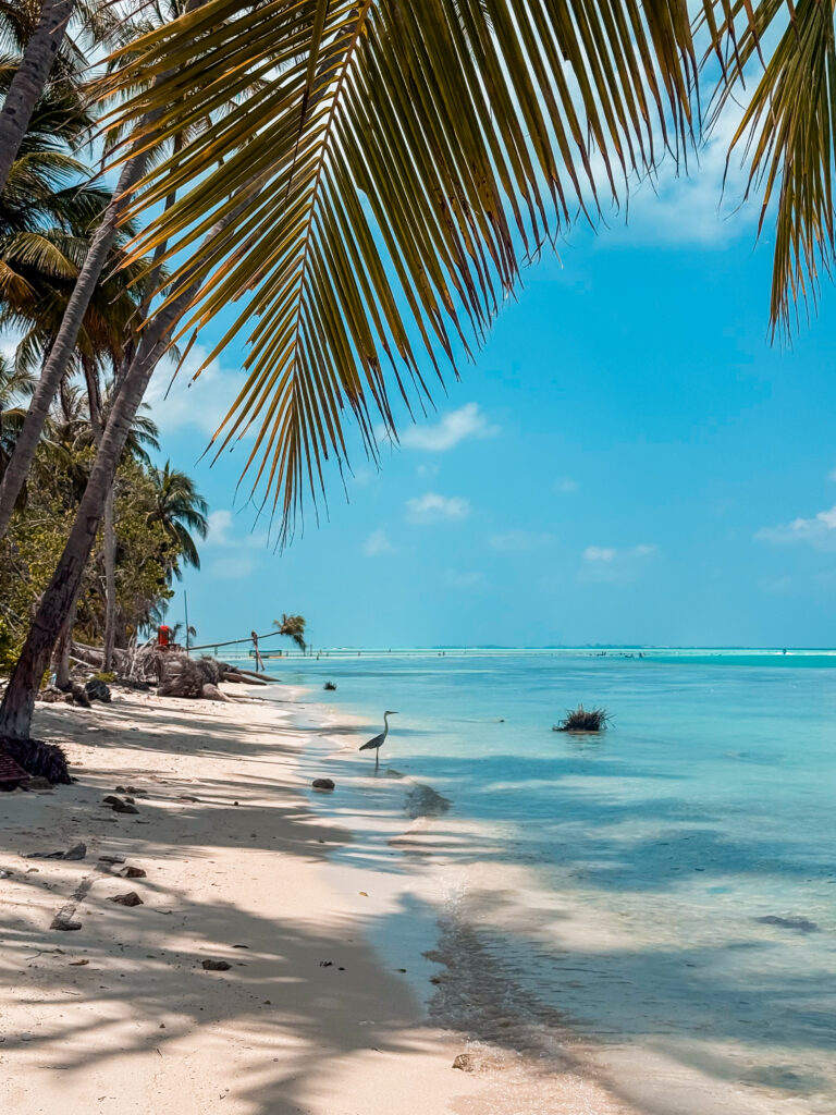 Dhiffushi, Malediven