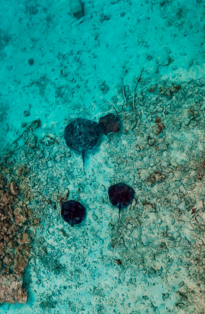 Dhiffushi, Malediven