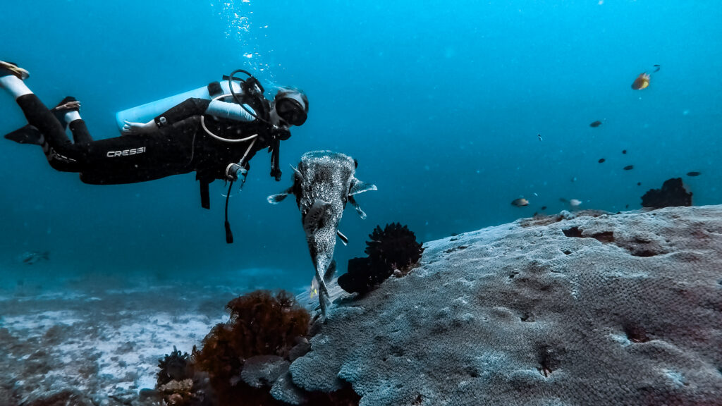 Duiken in Gam, Raja Ampat